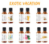 Exotic Vacation Fragrance Oil 6-Pack