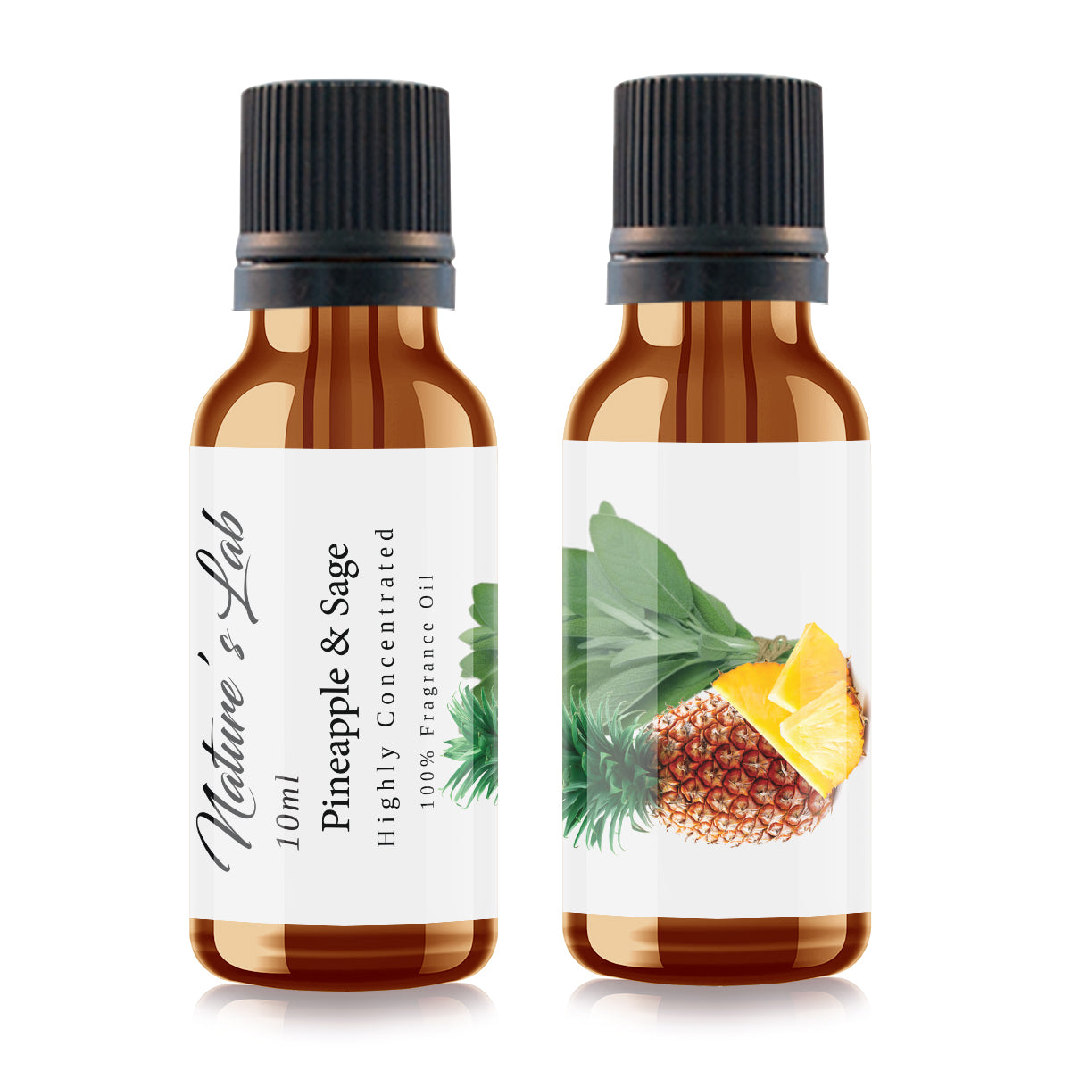 CandleScience Pineapple Sage Fragrance Oil Bulk 16 oz Bottle - Wholesale Scents for Candle & Soap Making