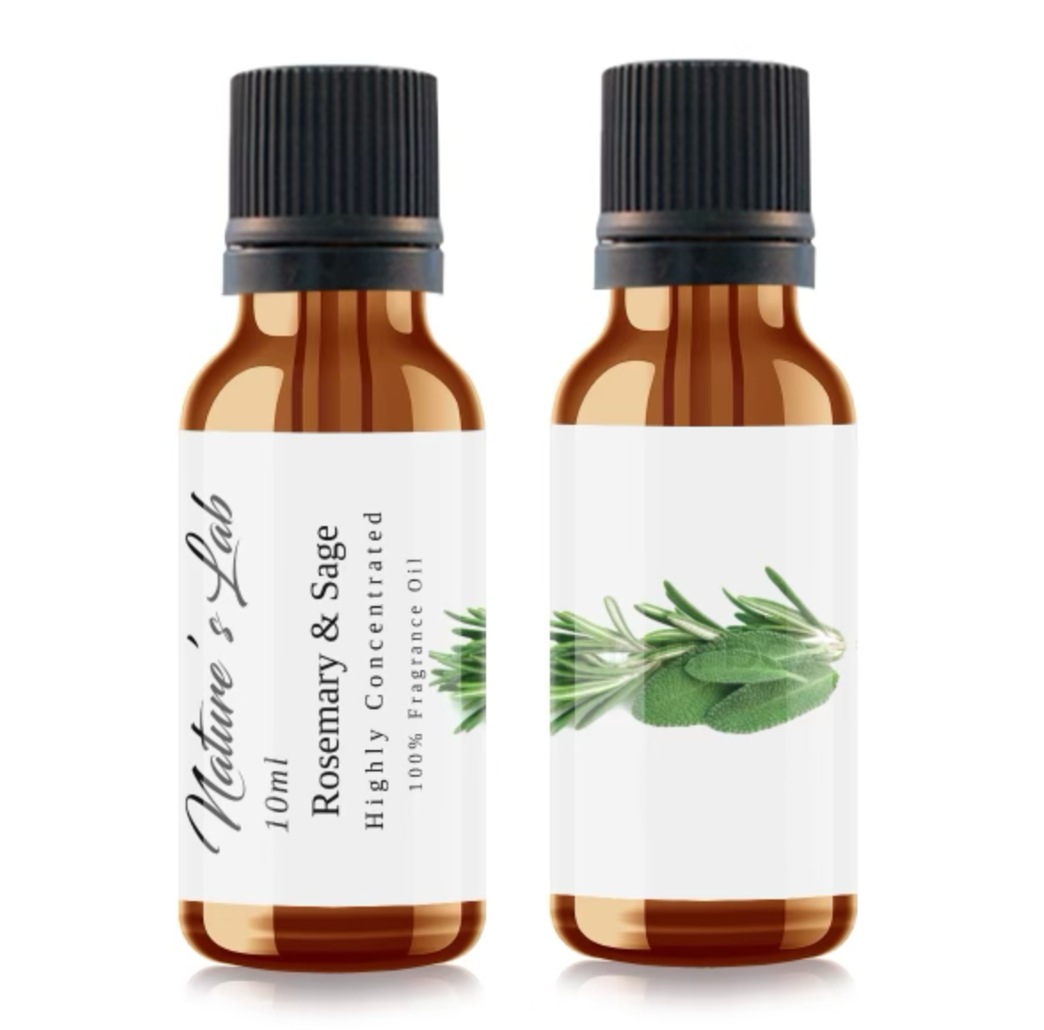 Rosemary & Sage Fragrance Oil