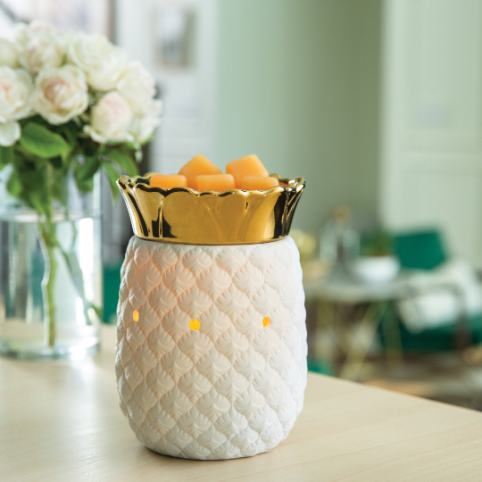 Pineapple Illumination | Fragrance Warmer - Natural Sister&amp;#39;s / Nature&amp;#39;s ...