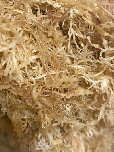 Organic Irish Sea Moss Gel - Made of 100% Pure Wild-Harvested Sea Moss -  Natural Sister's / Nature's Lab Store