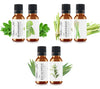 Essential Oils Set- Pack of 3 | Lemongrass-Peppermint-Eucalyptus | 10ml/0.33oz