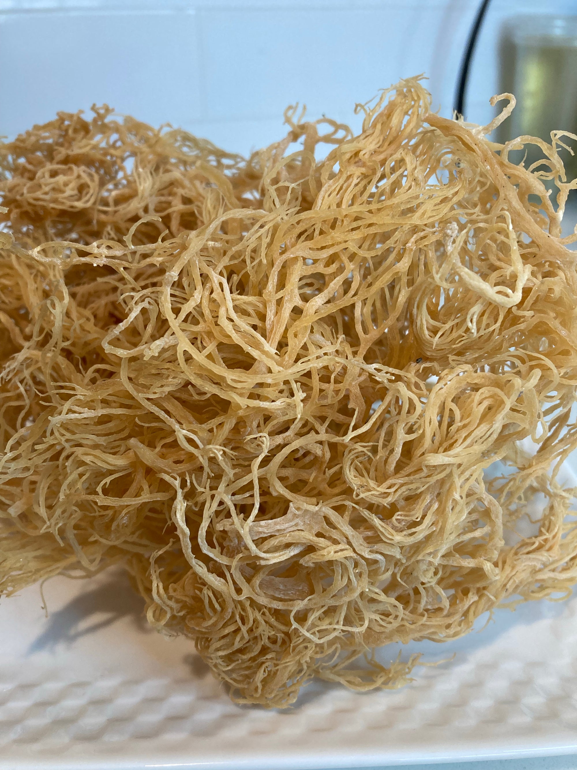 Organic Irish Sea Moss Gel - Made of 100% Pure Wild-Harvested Sea