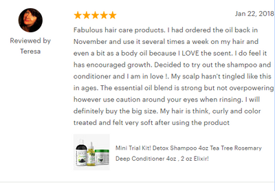 Mini Growth Kit! - Mega Growth Elixir, Detox Shampoo & Tea Tree Rosemary Treatment