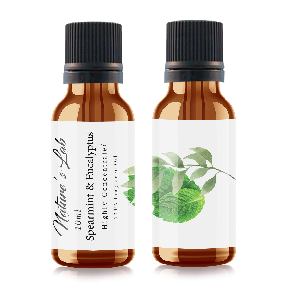 Spearmint and Eucalyptus Fragrance Oil 10ml